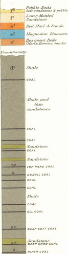 section -s